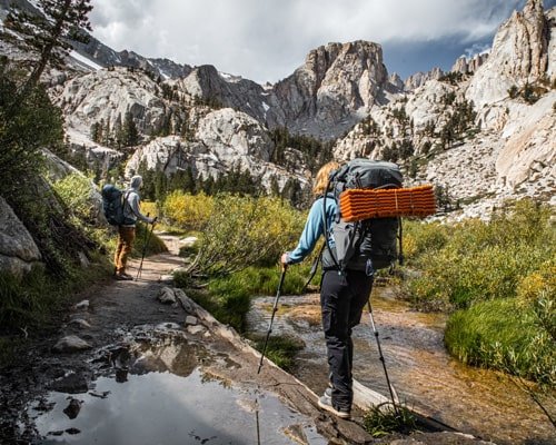New Zealand Scenic Roadtrip